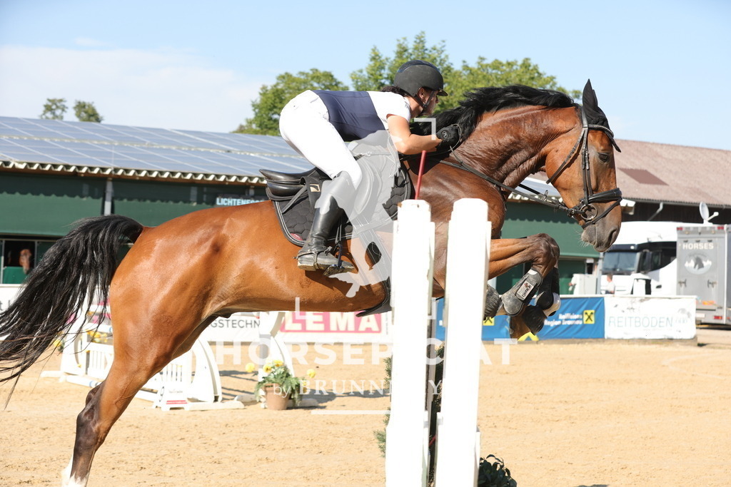 0P6A1671 | Willkommen bei Brunnmayr - Design & Fotografie – Ihrem Spezialisten für Reitturniere und Pferdeveranstaltungen in Oberösterreich, Salzburg und Bayern! Seit über 17 Jahren sind wir leidenschaftlich dabei.