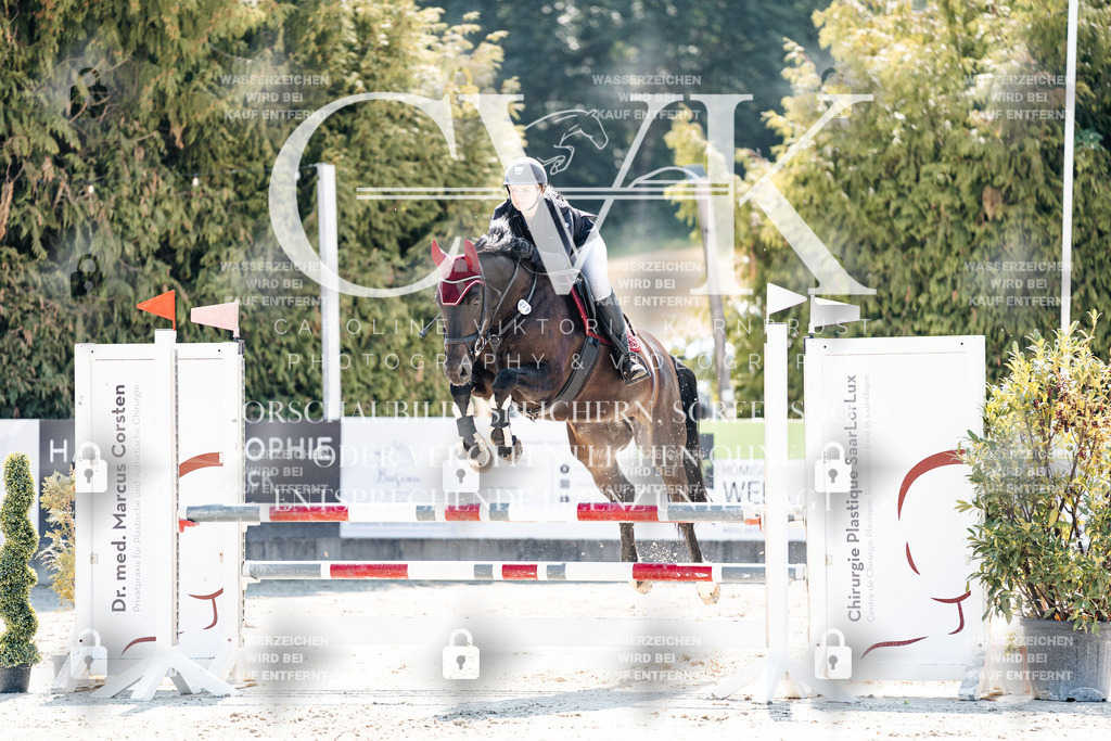 CK908784 | Turnierfotografie Pferdefotografie Trier Rheinland-Pfalz Pferdesport Reitsport Tierfotografie Sportfotografie Pferdevideo Pferdevideografie Equestrianvideography equestrianphotography  - Realisiert mit Pictrs.com