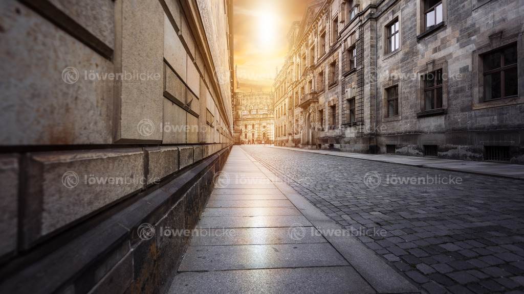 Straße der Dresdener Altstadt | löwenblicke | shop