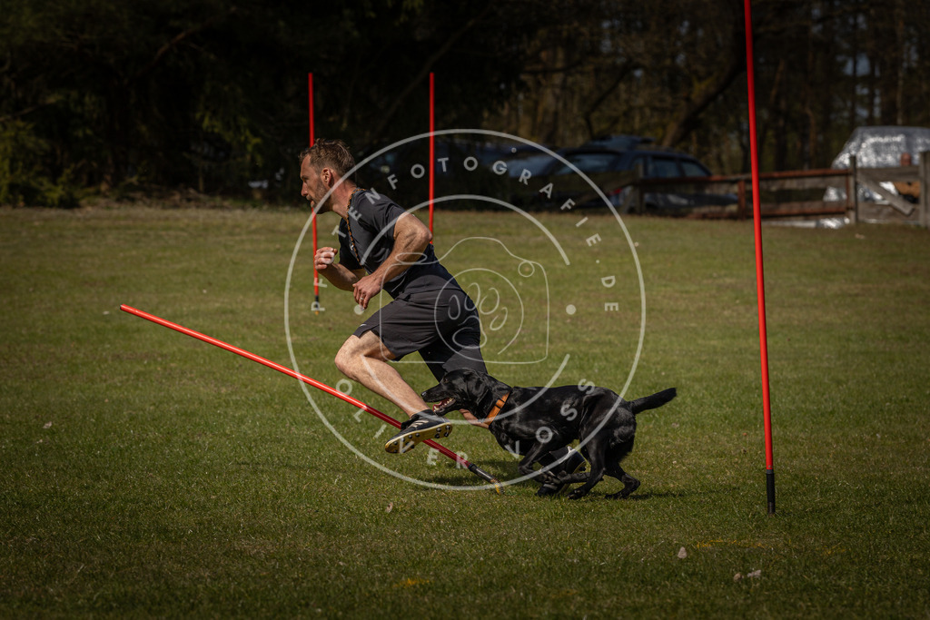 Pfotenfotografie_DV3A4327 | Hundefotografie, Tierfotograf, Pfotenfotografie, Fotoshooting Hund, Hunde Portrait, Hundesport, Hundeportraits, Heideshooting, Hunde, Sportfotograf, Hundefotograf, Turnierhundsport, THS,  - Realisiert mit Pictrs.com