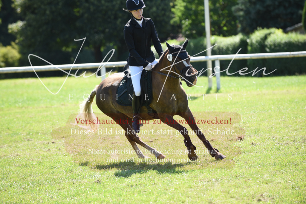 DSC_9471 | Pferde- und Turnierfotografie in Westsachsen. Pferdeportraits, Auftragszeichnungen und intuitive Kunst.