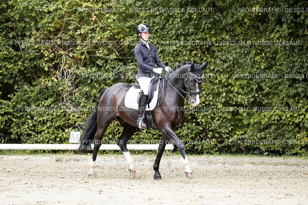 DSC06026 | Pferdegrafie