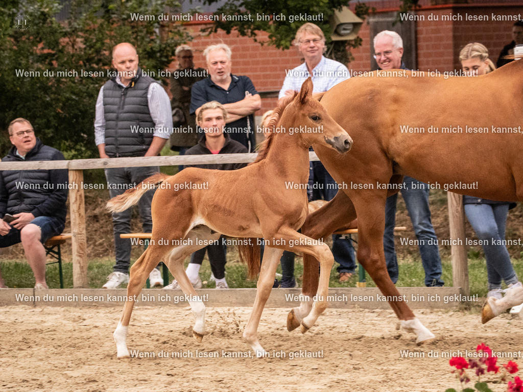 A10I4911 | photographylinaismer - Realisiert mit Pictrs.com