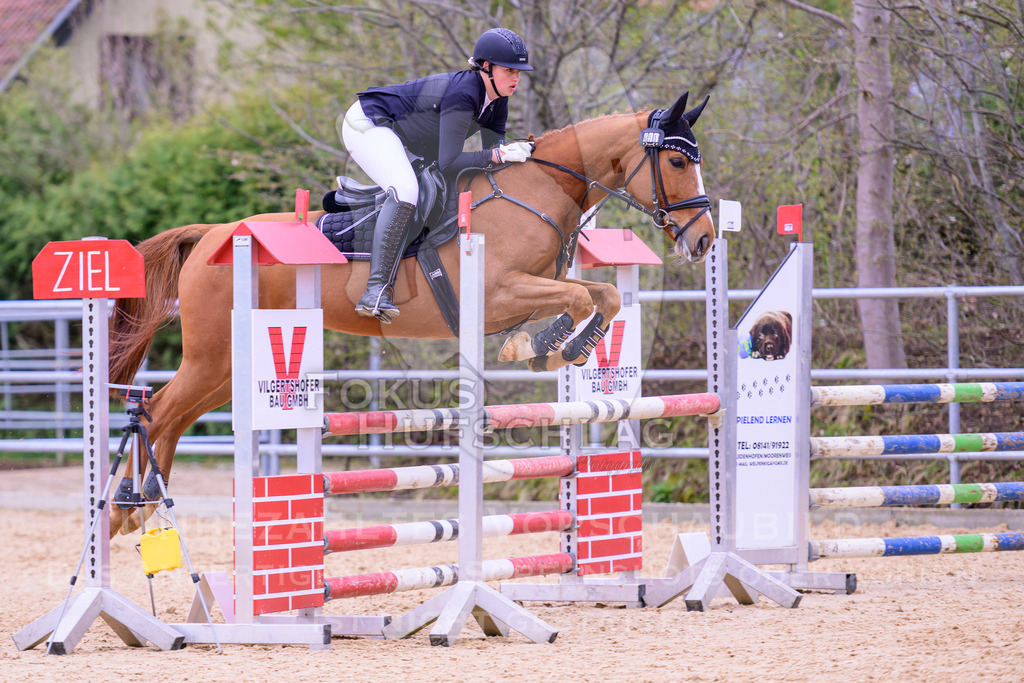 12042026-Mammendorf-Prfg39-0401 | Fokus Hufschlag Fotografie - Realisiert mit Pictrs.com