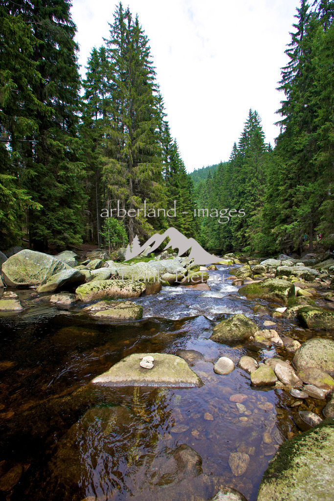 _MG_5869 | entlang der Vydra, mit seinen großen Steinen,  führt einer der schönsten Wanderwege durch den Böhmerwald