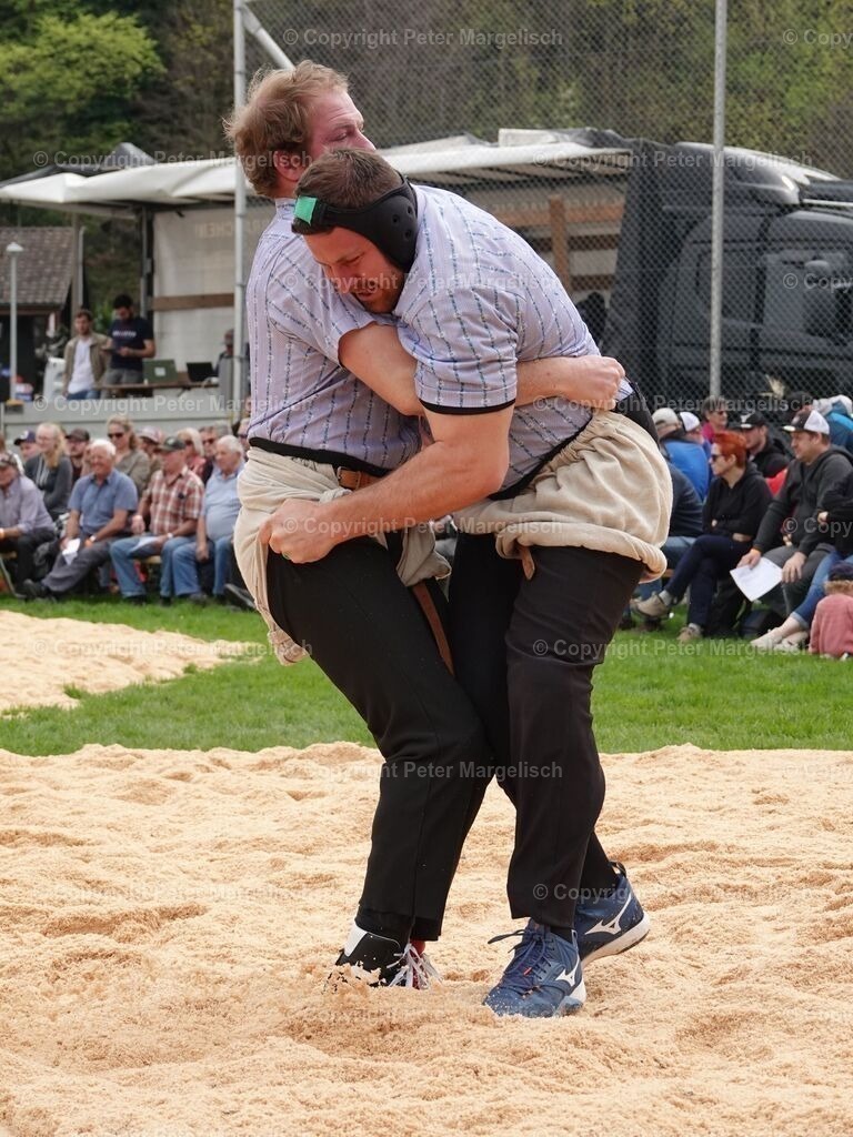 k-DSC06174 | Schwingen - Realisiert mit Pictrs.com