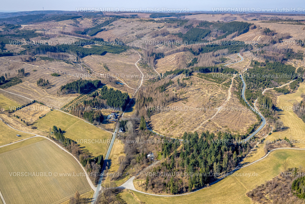 HB-Bestwig220302997 | Luftbild, Waldgebiet mit Waldschäden nördlich von Nuttlar, Altes Forsthaus an der Landesstraße L776, Bestwig, Sauerland, Nordrhein-Westfalen, Deutschland