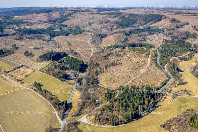 HB-Bestwig220302997 | Luftbild, Waldgebiet mit Waldschäden nördlich von Nuttlar, Altes Forsthaus an der Landesstraße L776, Bestwig, Sauerland, Nordrhein-Westfalen, Deutschland