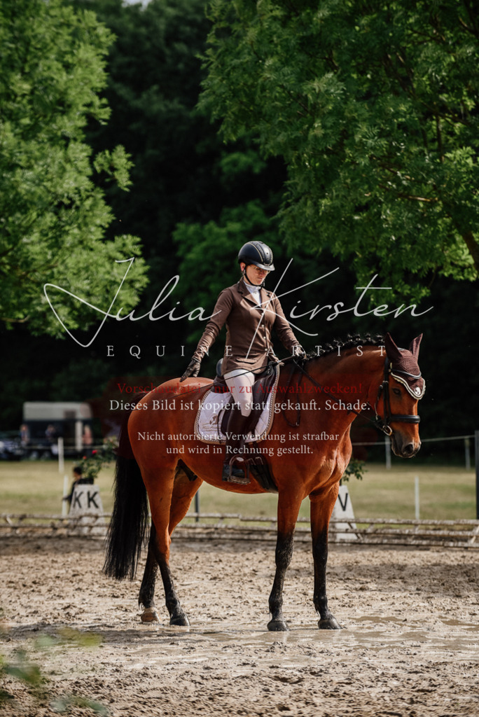 DSC_9495 | Pferde- und Turnierfotografie in Westsachsen. Pferdeportraits, Auftragszeichnungen und intuitive Kunst.