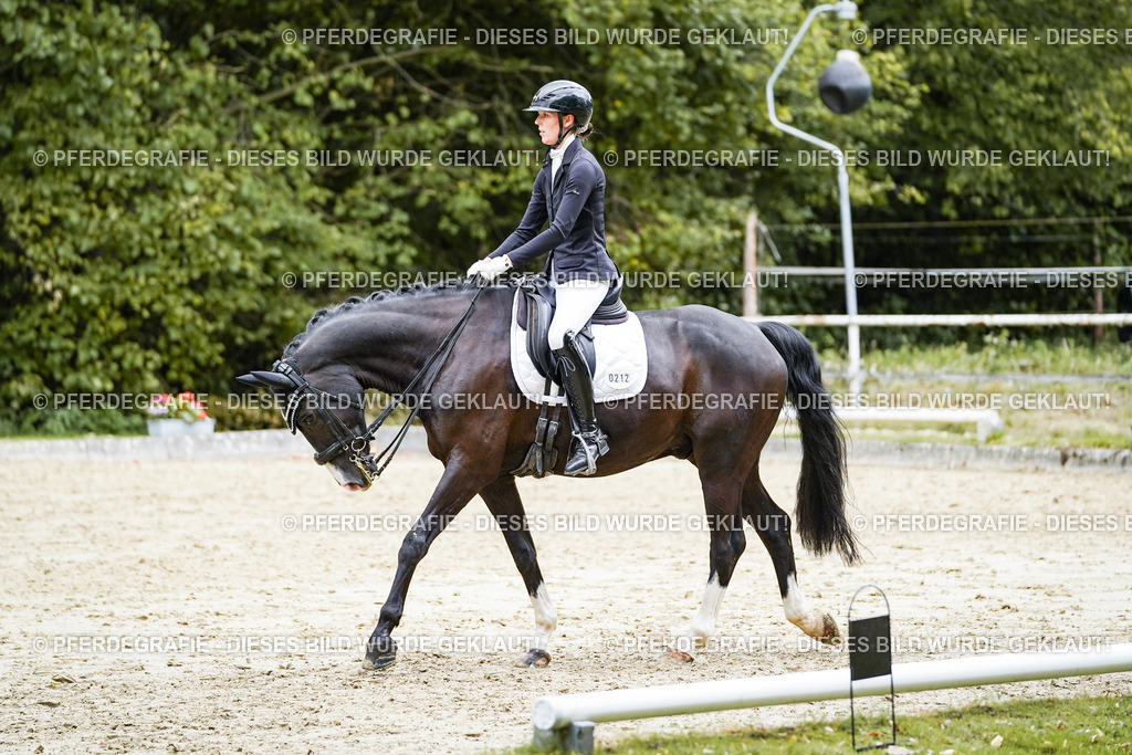 DSC06057 | Pferdegrafie