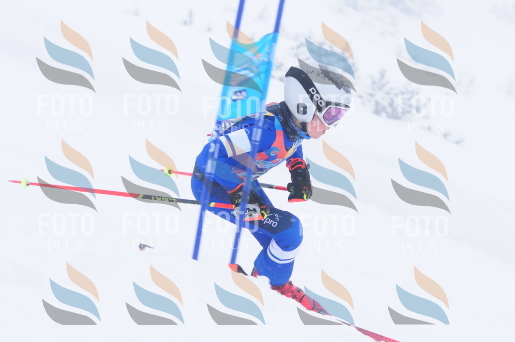 C2181 | holidayphoto