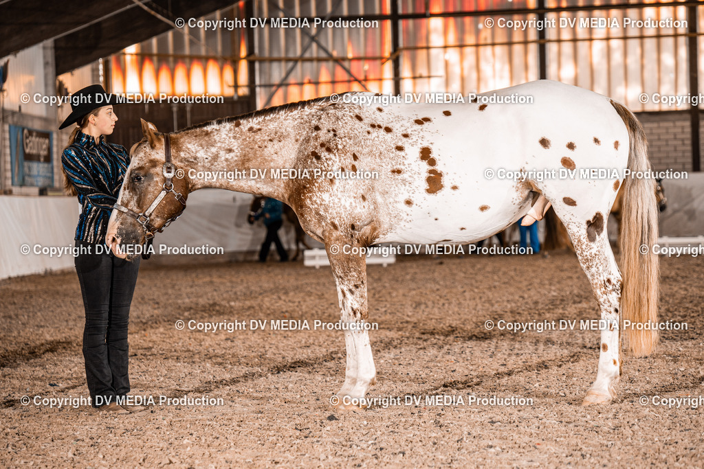 ZH100067 | dv-media-shop - Realisiert mit Pictrs.com