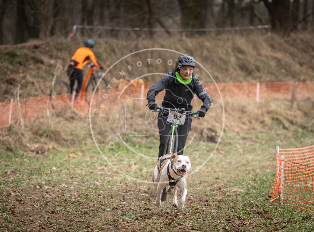 Pfotenfotografie_DV3A6776 | Hundefotografie, Tierfotograf, Pfotenfotografie, Fotoshooting Hund, Hunde Portrait, Hundesport, Hundeportraits, Heideshooting, Hunde, Sportfotograf, Hundefotograf, Turnierhundsport, THS,  - Realisiert mit Pictrs.com