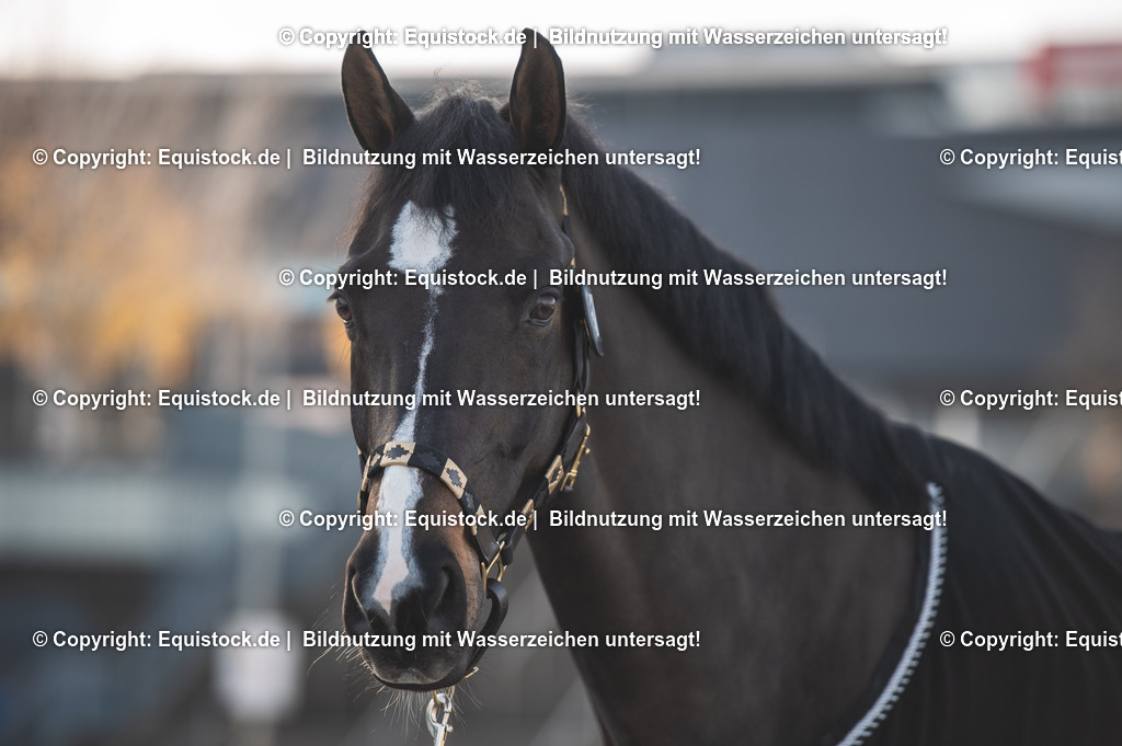 20251113_Raphael-Netz_TOMSPIC_0002 | Foto: Thomas Hartig