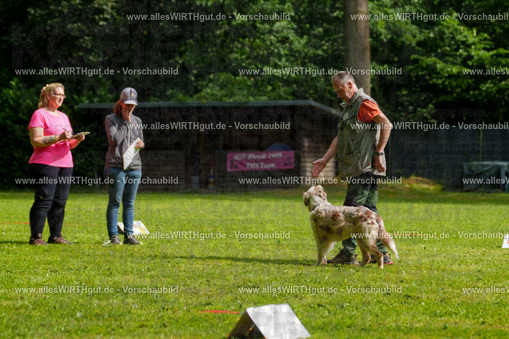 @allesWIRTHgut_Tierfotografie - www.allesWIRTHgut.de - 7R502817 | Professionelle Tierfotografie in Mönchengladbach von Daniel Wirth (allesWIRTHgut). Liebevolle & natürliche Bilder von Hunden & Katzen für unvergessliche Erinnerungen.