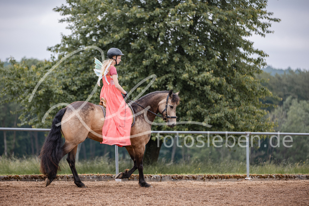 846A0390 | fotosleben - Realisiert mit Pictrs.com