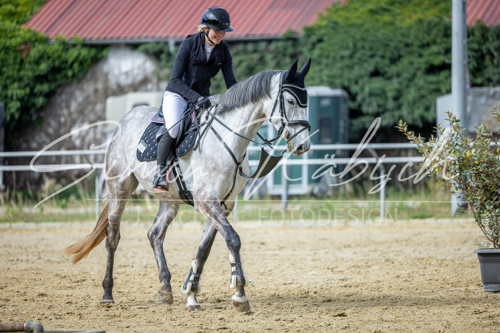 20260704-_3LI6708 | Tierfotografie Pferde, Hunde, Katzen, Haustiere.
Turnierfotografie Reitturniere, Reiten, Springreiten, Dressur in Hanau, dem Main-Kinzig-Kreis und dem Rhein-Main- Gebiet um Frankfurt