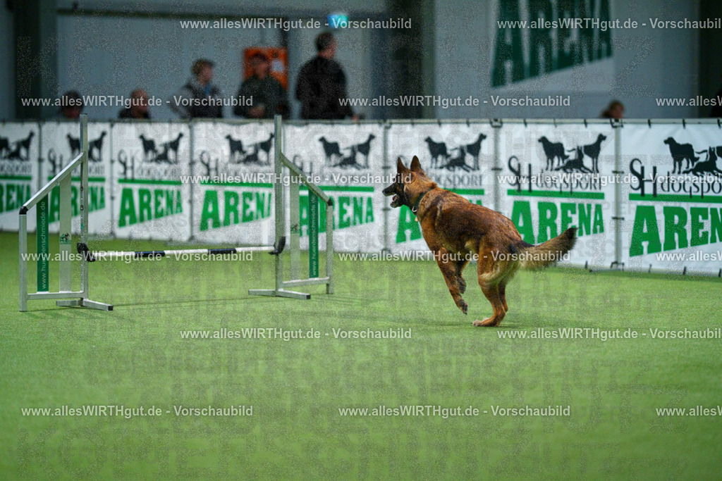 7R505599 | Professionelle Tierfotografie in Mönchengladbach von Daniel Wirth (allesWIRTHgut). Liebevolle & natürliche Bilder von Hunden & Katzen für unvergessliche Erinnerungen.