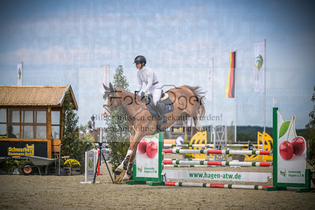 DOS_4250 | Entdecke hochwertige Reitturnierfotos von Foto Oger. Professionell, emotional und authentisch – jetzt Lieblingsmomente im Shop bestellen.Deutschlandweite Turnierfotografie. - Realisiert mit Pictrs.com