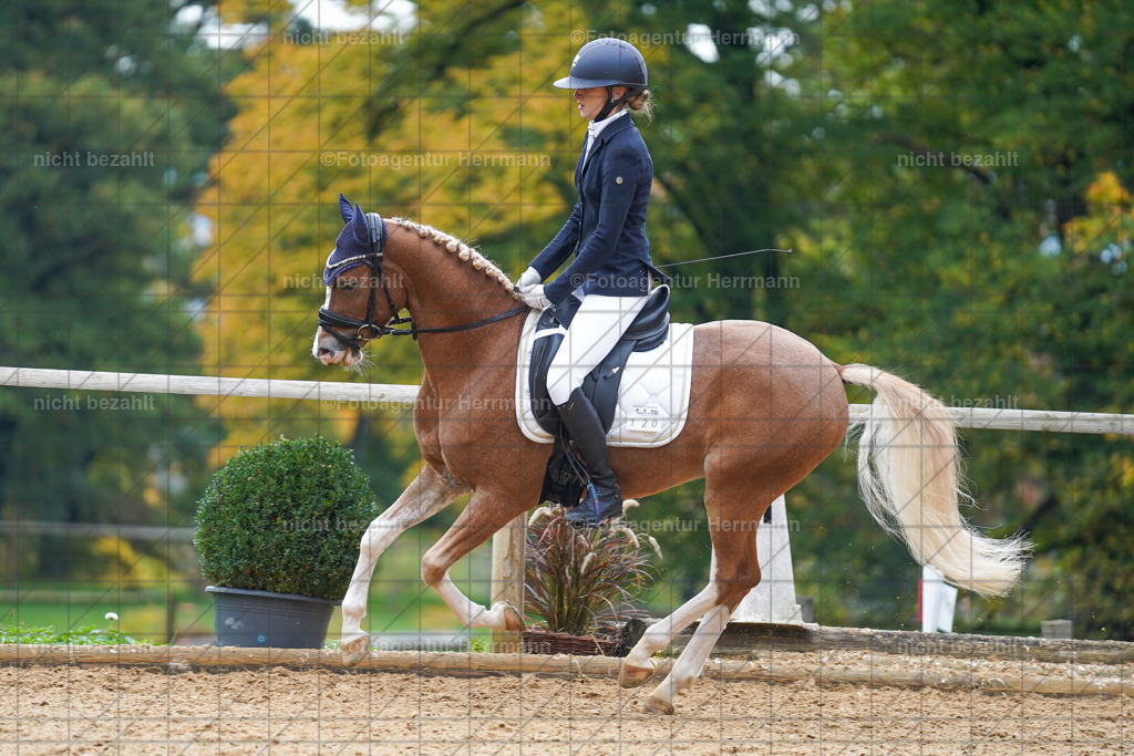 20221008-FAH01150 | Diessen am Ammersee, 2022, Dressur- und Springturnier, Reitsportbilder, Turnierfotografen Bayern, Pferdefotografen, Fotoagentur Herrmann, Turnierbilder