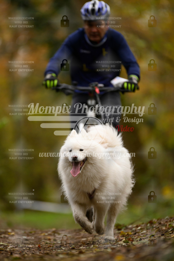 MompixPhotography_Bischwiller24_SA_VTT-97 | PayLife