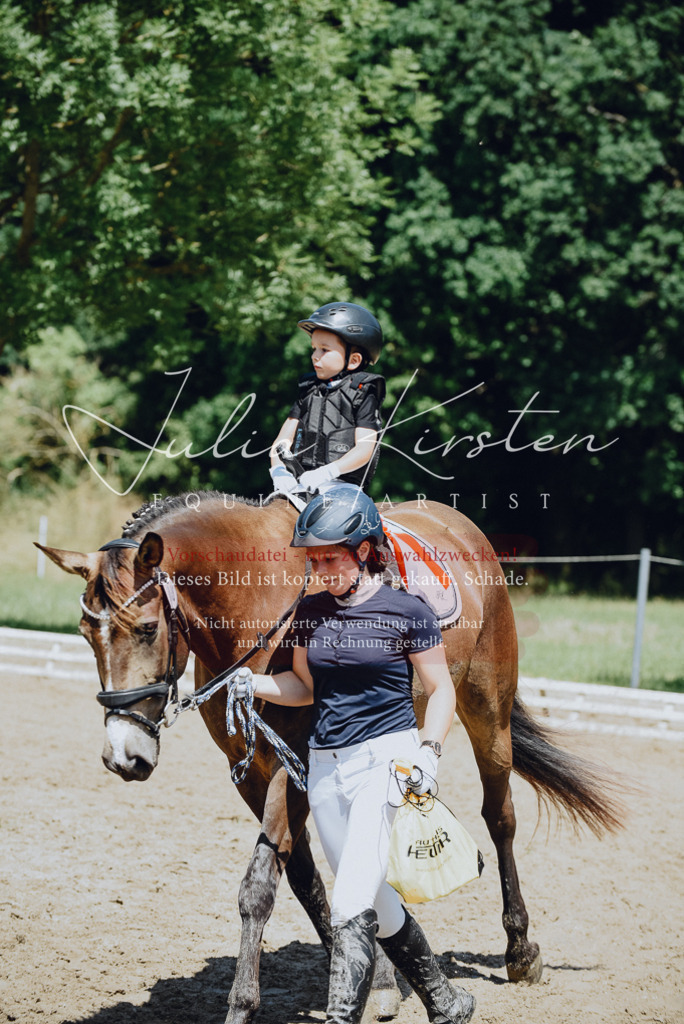 DSC_2727 | Pferde- und Turnierfotografie in Westsachsen. Pferdeportraits, Auftragszeichnungen und intuitive Kunst.