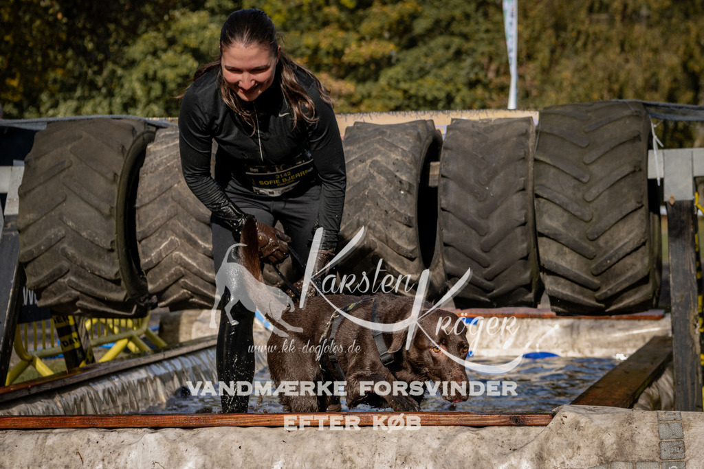 1343_ZZ92887 | kk-dogfotos