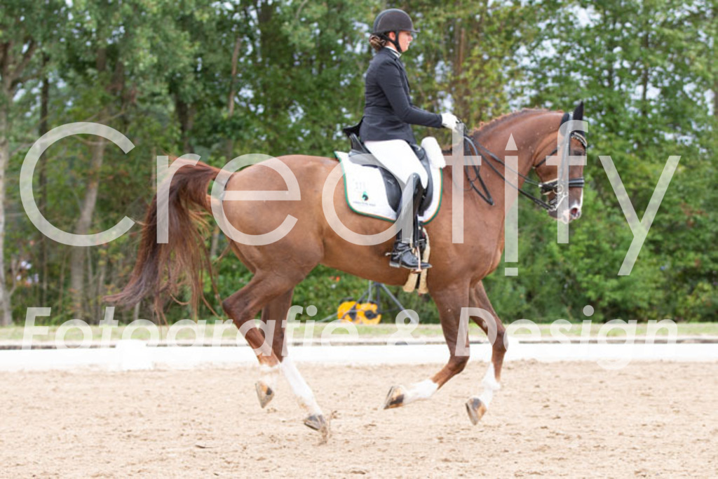 IMG_7273 | Creatify Fotografie