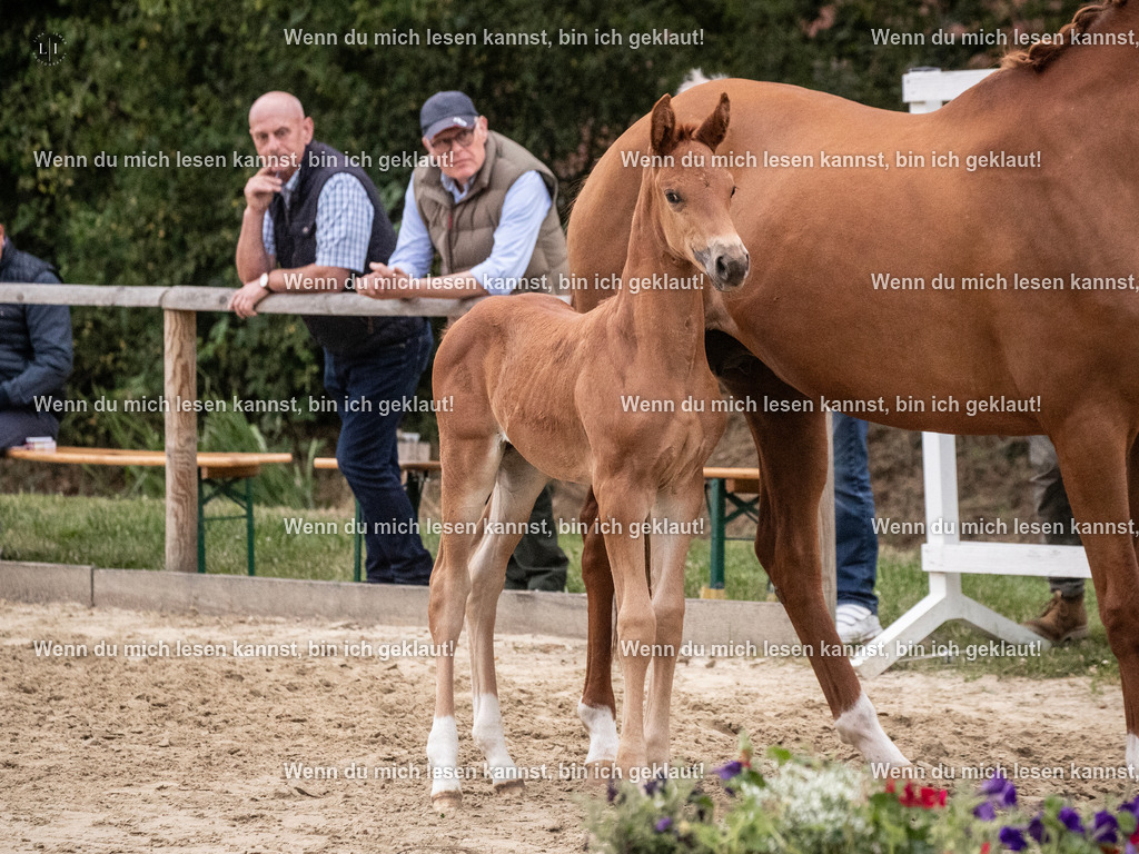 A10I7282 | photographylinaismer - Realisiert mit Pictrs.com