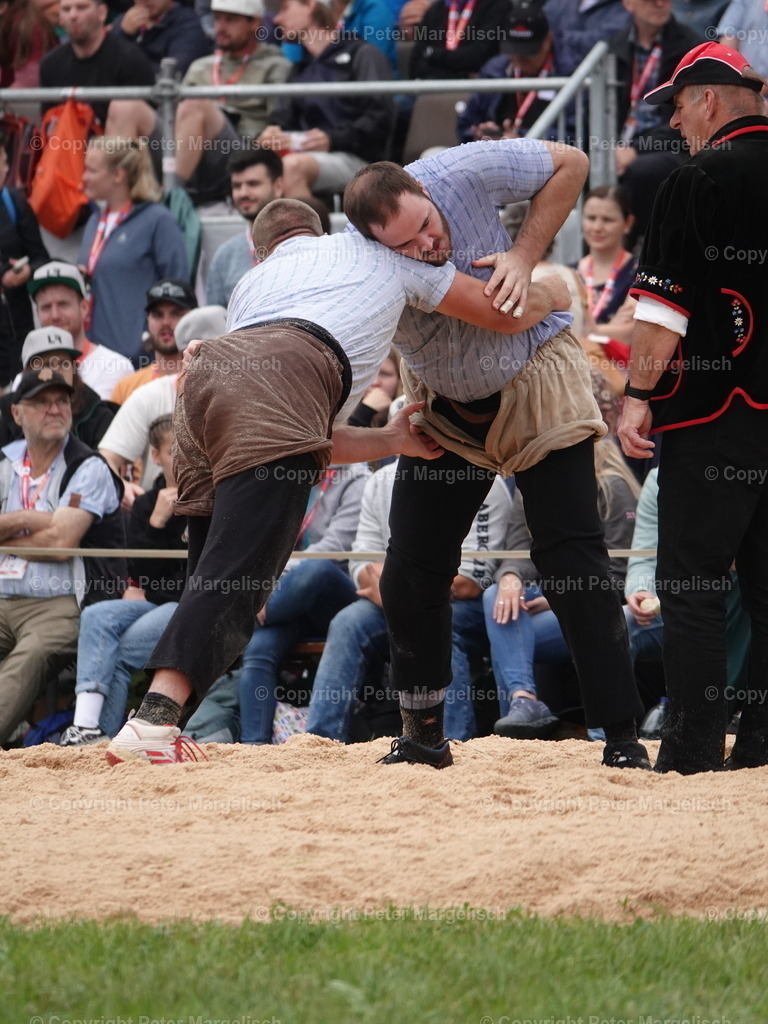 DSC04898 | Schwingen - Realisiert mit Pictrs.com