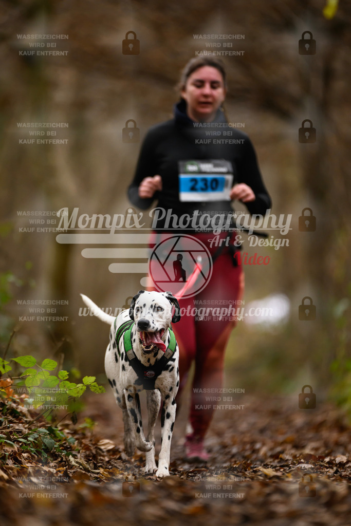 MompixPhotography_Eschau2024_CCC-125 | PayLife
