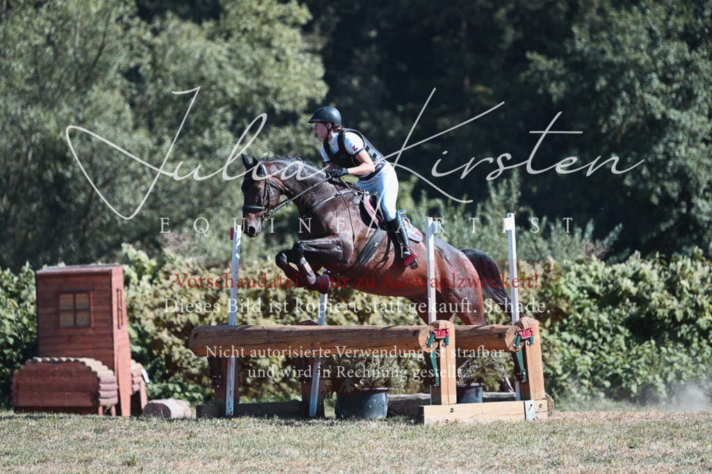 DSC_8564 | Pferde- und Turnierfotografie in Westsachsen. Pferdeportraits, Auftragszeichnungen und intuitive Kunst.