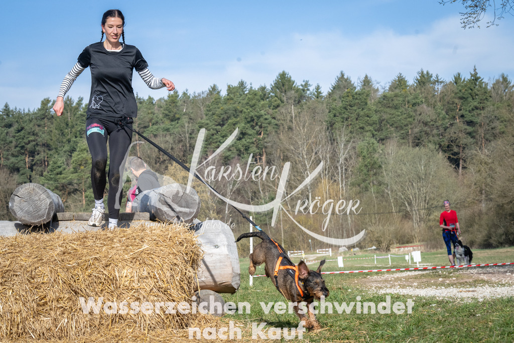 0931_ZZ93854 | kk-dogfotos
