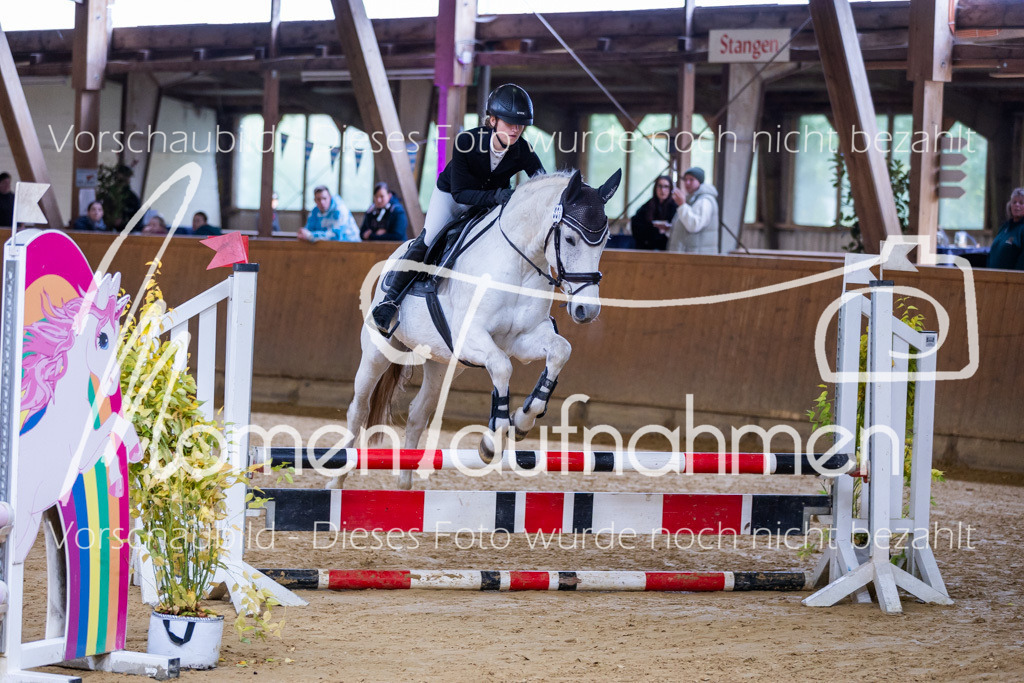 Sth-E-Springen-010 | MomenTaufnahmen Pferdesportfotos