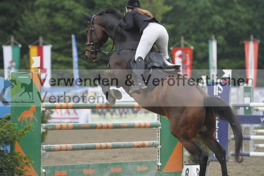 _MG_7008 | equestrian-live-com