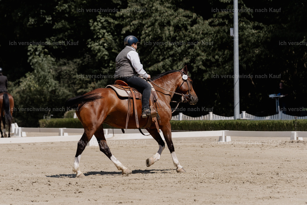 WE_DR_107_SinaFilmArt_IN03534 | working equitationturnier fotograf videograf stoibphotography marixx film working equitation deutschland reitsport turnierfotografie eventfotografie equestrian events