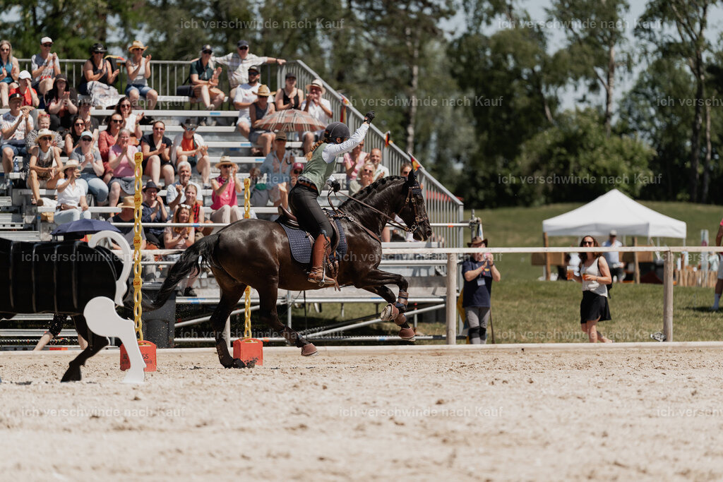 WE_SP_Stoib_315_PI2025_1870 | Pferd International München 2025