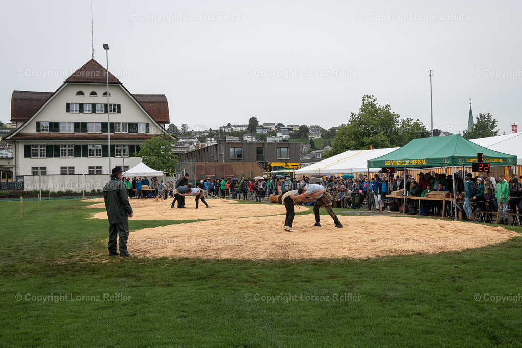 Schwingen -  Herisauer Obetschwinget 2024 | Herisau, 1.6.24, Schwingen - Herisauer Obetschwinget.