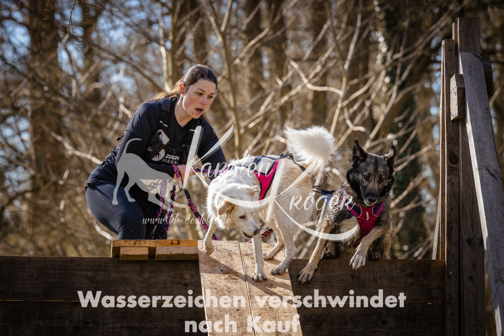 0907_ZZ93727 | kk-dogfotos