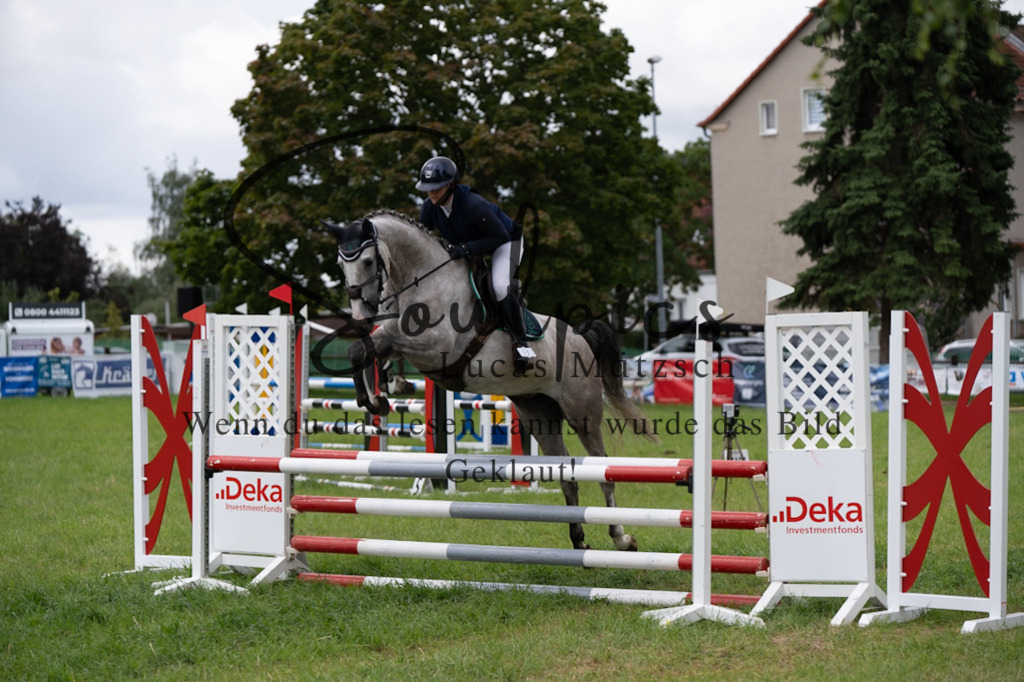 A7V04013 | Pferdefotograf