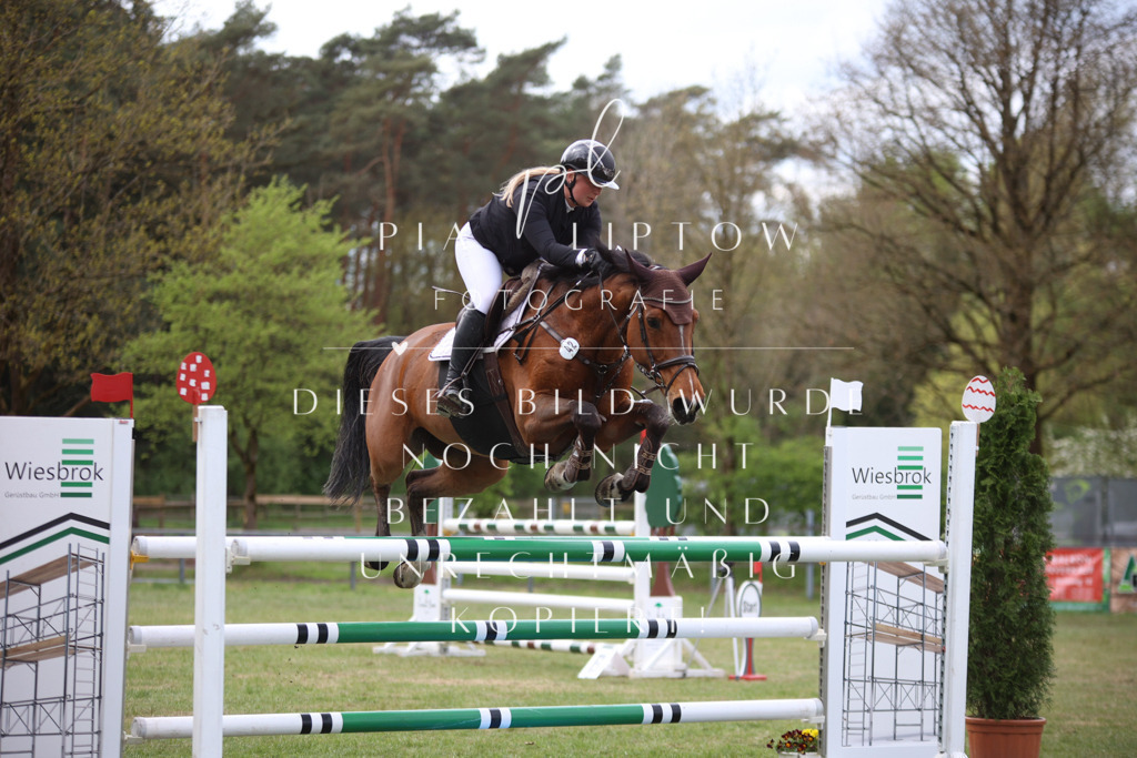 IMGT1576 | pl-fotografie