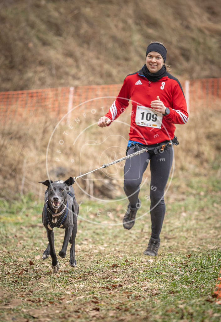 Pfotenfotografie_DV3A7516 | Hundefotografie, Tierfotograf, Pfotenfotografie, Fotoshooting Hund, Hunde Portrait, Hundesport, Hundeportraits, Heideshooting, Hunde, Sportfotograf, Hundefotograf, Turnierhundsport, THS,  - Realisiert mit Pictrs.com