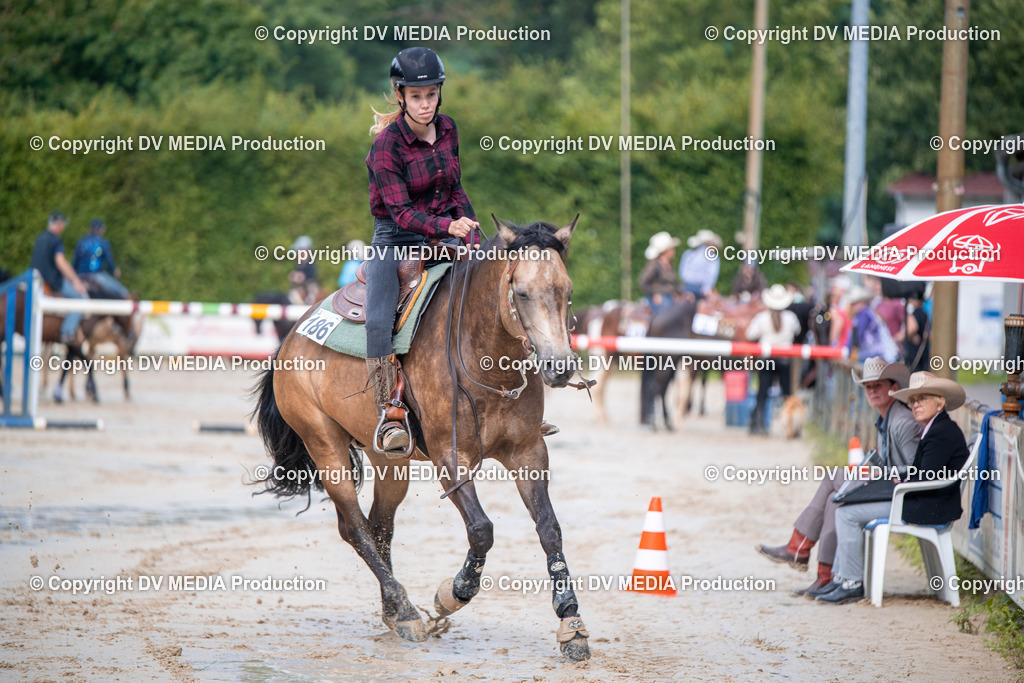 ZS2_4256 | dv-media-shop - Realisiert mit Pictrs.com