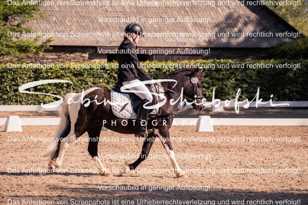 2025_05_31_DSCF2902 | People- und Tierfotografie, Imageaufnahmen, Veranstaltungsfotografie und Wandbilder aus der Natur ★ Made in Germany ✔️ Druck + Downloads ✔️ Naturfotografie in Top Qualität ★ schneller Versand, weltweite Lieferung! - Realisiert mit Pictrs.com