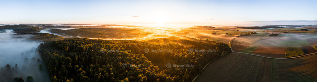 Ostalb bei Altheim im Nebel | löwenblicke | shop