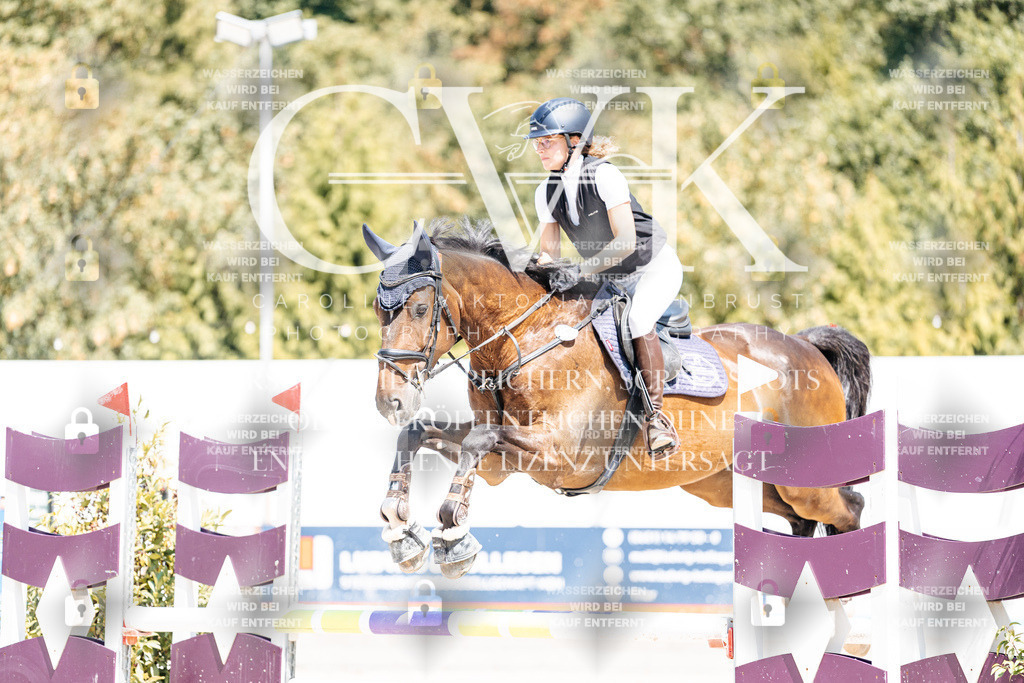 CK900376 | Turnierfotografie Pferdefotografie Trier Rheinland-Pfalz Pferdesport Reitsport Tierfotografie Sportfotografie Pferdevideo Pferdevideografie Equestrianvideography equestrianphotography  - Realisiert mit Pictrs.com