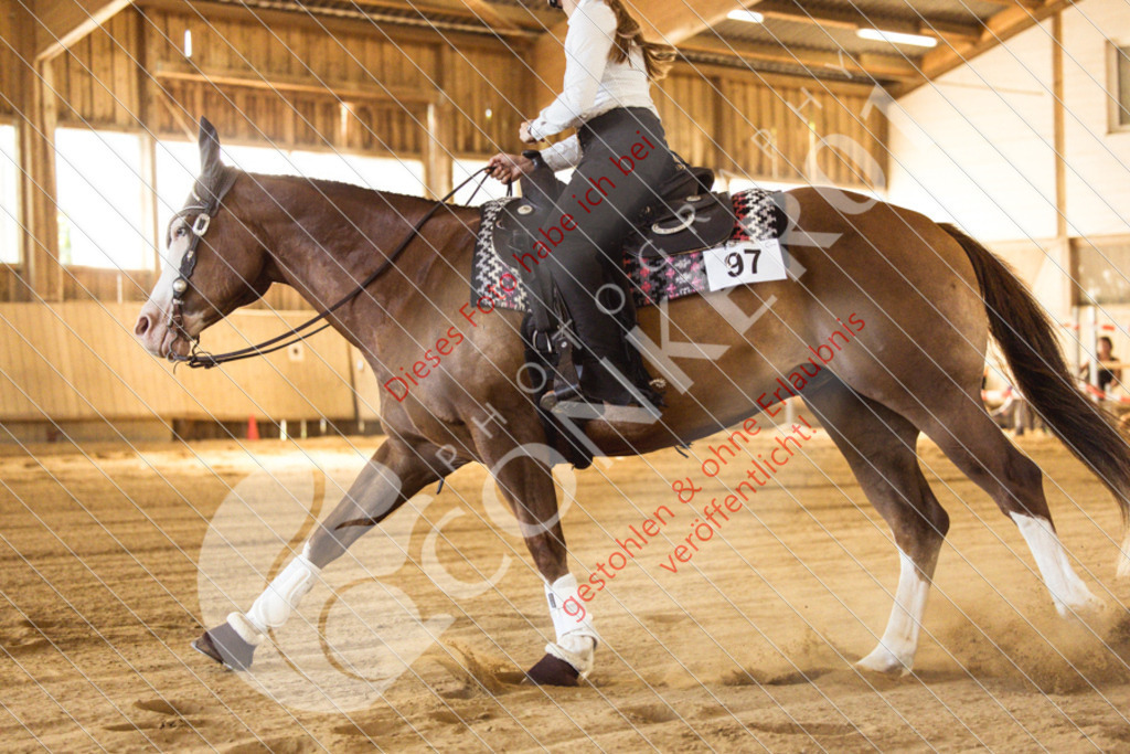 IMG_4940 | Sport-, Event- und Tierfotos in Profiqualität. Einfach auswählen, bestellen und herunterladen. Dein Moment – perfekt festgehalten.