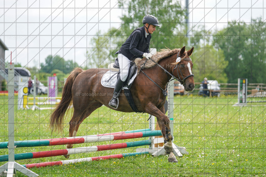 20240509-FAH02455 | Turnierbilder der Turnierfotografen Bayern, Pferdesport Fotografie, Reitsportbilder, Turnier Landberg am Lech, Turnierbilder bayern, Fotoagentur Herrmann