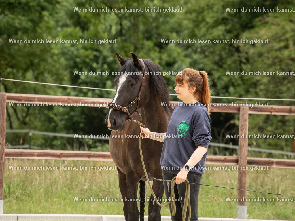 598A6232 | photographylinaismer - Realisiert mit Pictrs.com