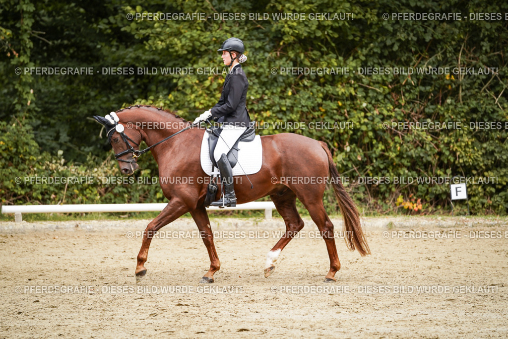 DSC00354 | Pferdegrafie